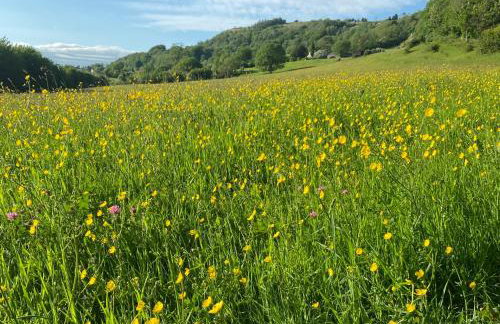 Barnhaven, beautiful converted coach house in National Park - Foto 20