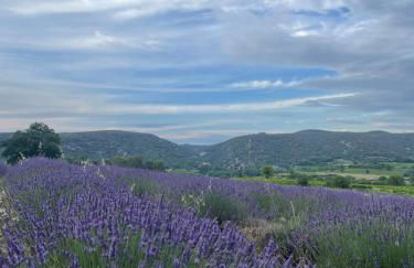 Gîte passiflore - Foto 34