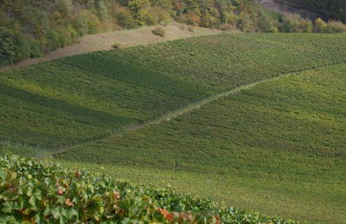 Ferienwohnungen Knodel - Foto 17