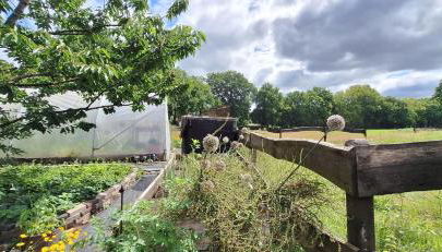 Ferienwohnung Eulennest, 35230 - Foto 5