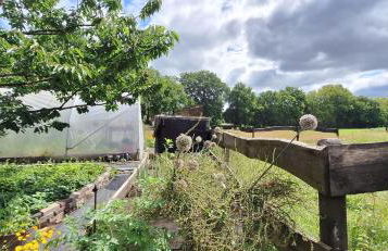 Ferienwohnung Eulennest, 35230 - Foto 5
