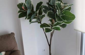 Alojamiento Doble R - Foto 22