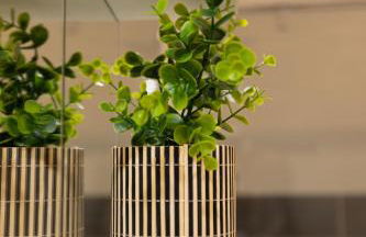 4 Bis - Maison moderne cozy avec extérieur - Foto 45