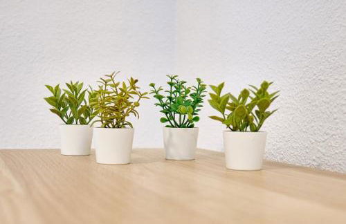 Elegante Rincón en el Casco Antiguo - Foto 6