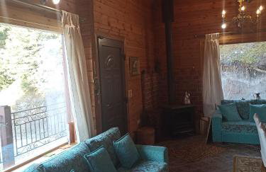 Rados chalet - Photo 26