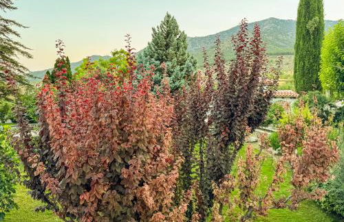 Complejo El Molinico - Foto 48