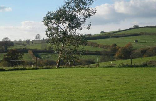 Swift Cottage - Foto 37