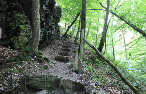 Ferienhaus Däschinger Das Zweiradparadies - Foto 64