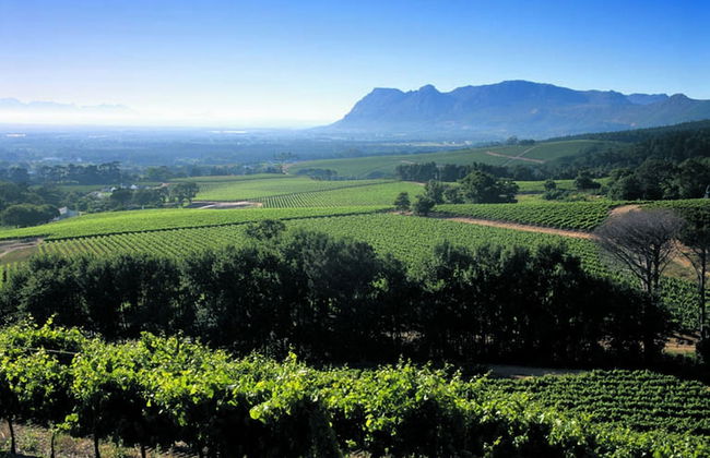 Villa Karibu In Tokai - Foto 49