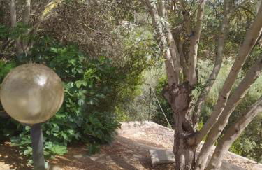 Casa Olea - Photo 38