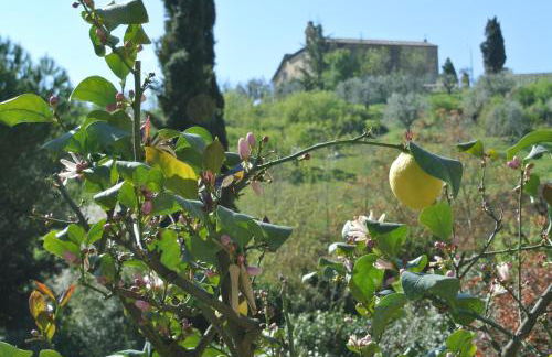 Le Logge di Caprera - Photo 20