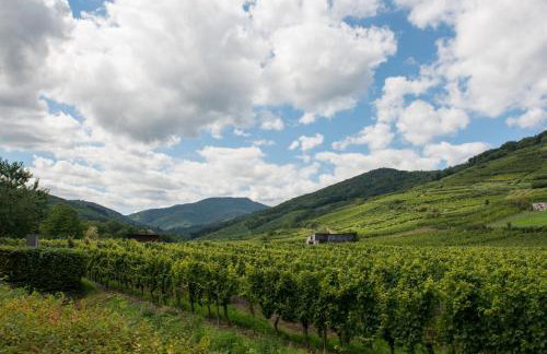 La Maison Jaune - Foto 29