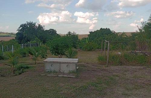 Chácara Raízes - Photo 28