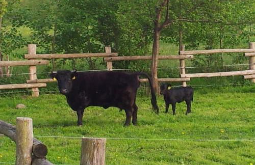 Doppelzimmer im Spreewald - Foto 19