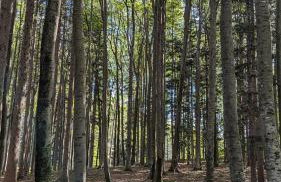 ღLiboria I Aidling Panorama Stilvolles Ferienhaus mit Bergblick - Foto 33