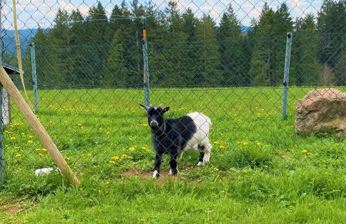 Süßen Häusle - Foto 37