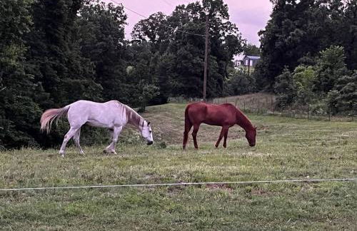 The Varnadoe Villa- Farm Stay - Foto 66