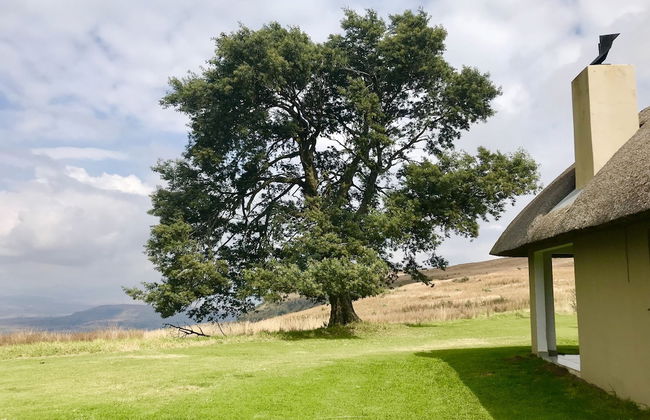 Windmill Farm - Foto 21