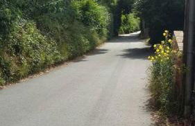 Private apartment, parking, sea and country views - Photo 23