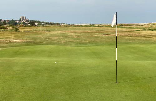 The Studio - Foto 17