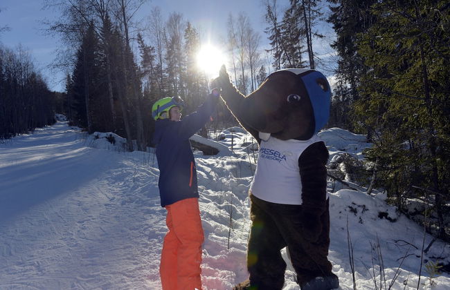 Hassela Ski Resort Cabins - Photo 36