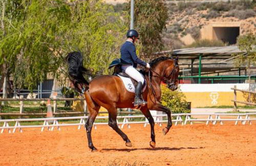 Villa Castro - Photo 78