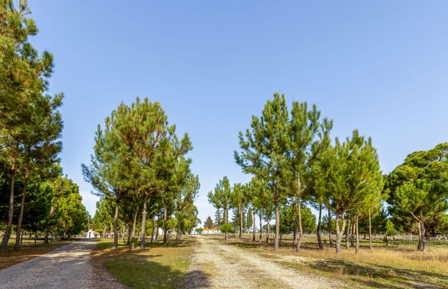 Quinta de Santa Emilia 3 - Foto 24