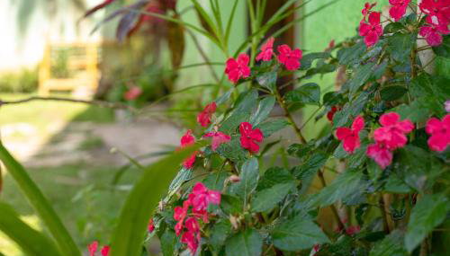 Casa de Família (Campo) - Foto 4, Garden, Garden view