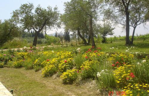 Aroggia Farm - Foto 45