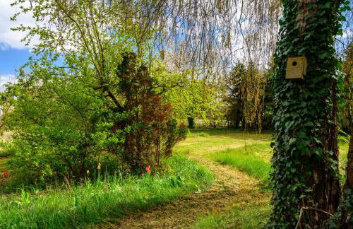 Villa 8 personnes - Porte du Ried - Foto 33