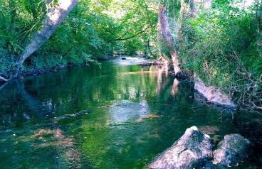 La madriguera azul - Foto 24