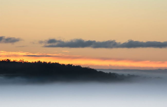 Balingup Heights Hilltop Forest Cottages - Foto 56
