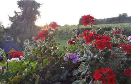 Zum Rebberg Ferienwohnungen - Photo 27