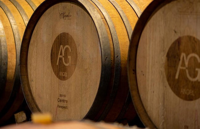 Visita alle Bodegas Angel con degustazione di vini e paella - Foto 3