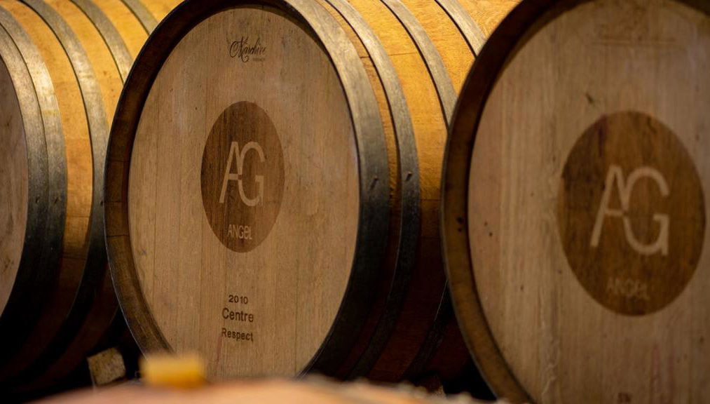 Visite Bodegas Angel com Degustação de Vinho e Paella - Foto 2