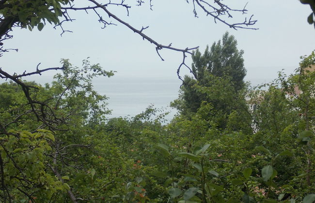 Villa Sequoia - Foto 49