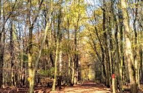 Mach mal Pause bei Geni & Bernd - Foto 7