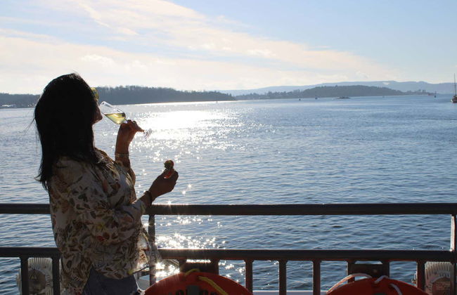 Paseo en barco eléctrico por el fiordo de Oslo - Foto 2
