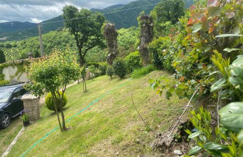 appartamento Colticciola Agriturismo Marche - Foto 58