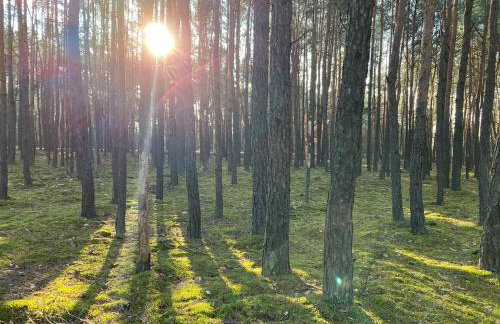 Domek nad Wkrą - Foto 76