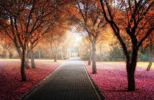 Avenzoar Apartments - Foto 78