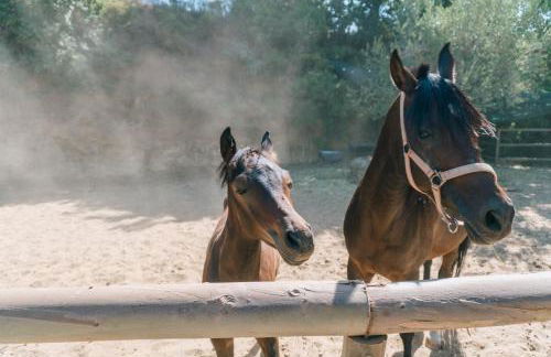 Leano Agriresort - Foto 27