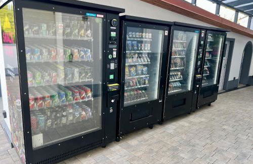 Ferienwohnung Villa Bachfischer - Foto 58