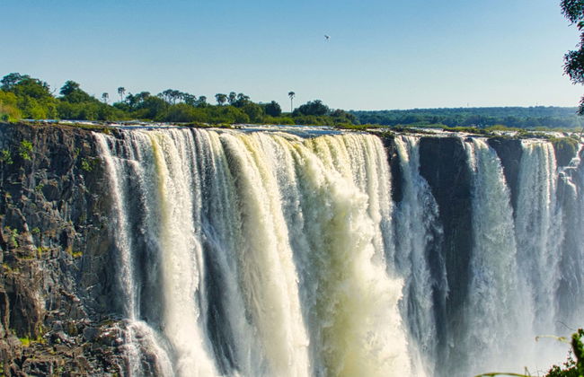 Safari de 10 días por lo mejor de Zambia - Foto 6