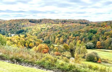 The Lookout Lake Masthope Firepit Arcade - Foto 13