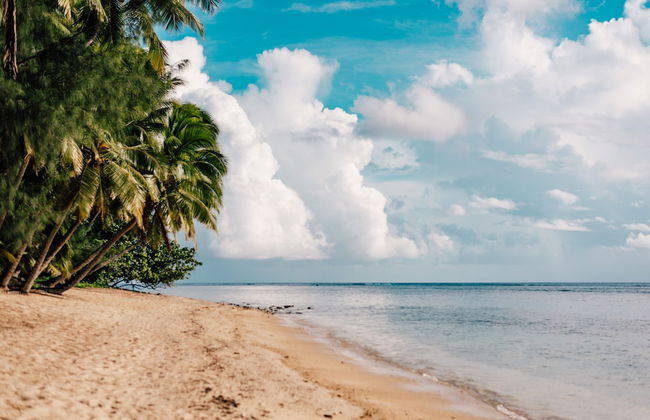 Arcadia Retreat Rarotonga - Photo 35