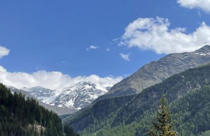 Residence Regina delle Alpi - Foto 33