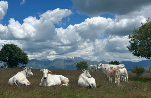 Da MammaMimma - Foto 37