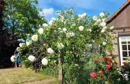 Ferienhaus Gartower See - Foto 29