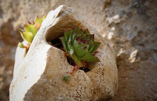 Stein House Marasovic - Foto 33